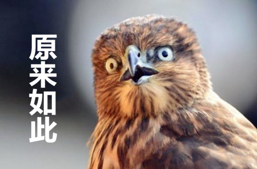 代繳廈門社保一個月多少錢
